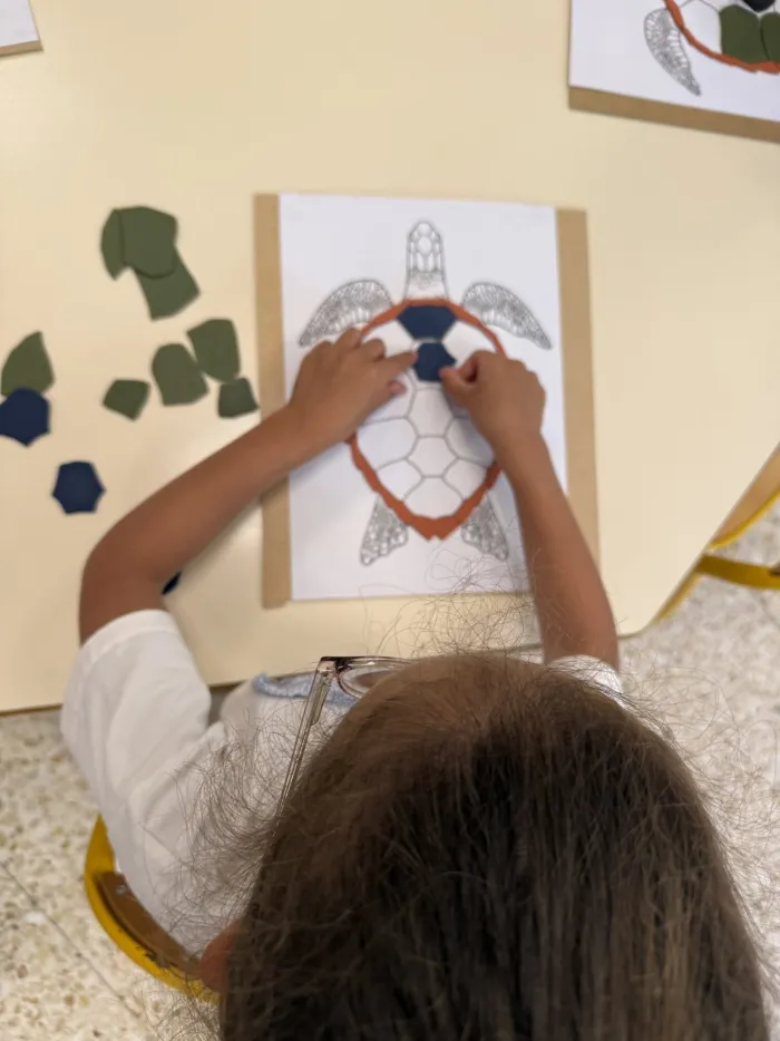 Enfant réalisant un collage pédagogique en forme de tortue