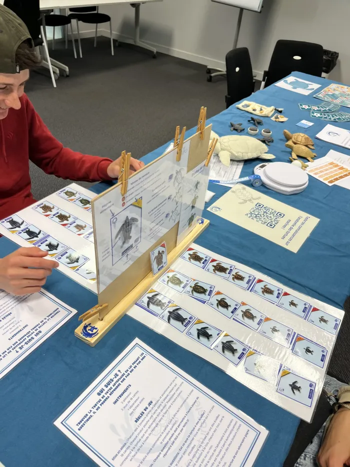 Jeu de cartes pédagogique « Qui suis-je ? » en cours de partie