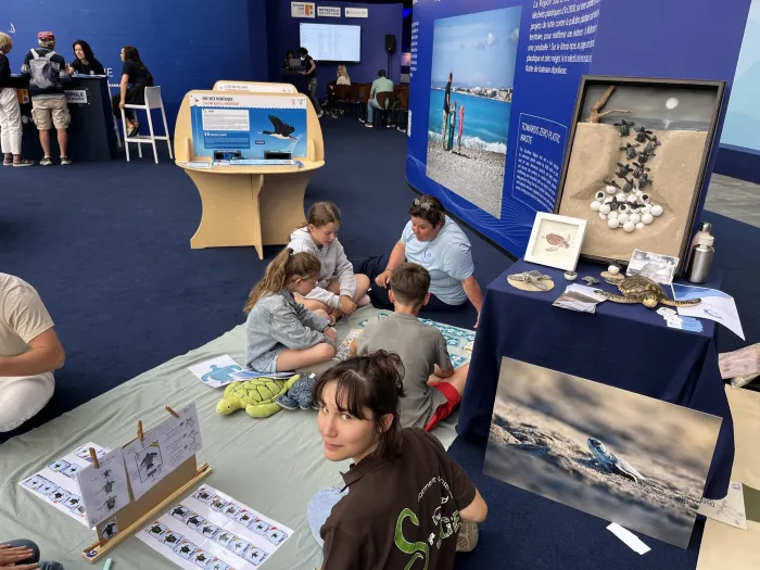 Stand de sensibilisation avec un cadre illustrant des tortues nouveau-nées