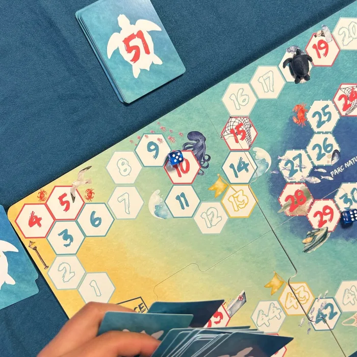 Plateau du jeu « Ma vie de tortue » en cours de partie