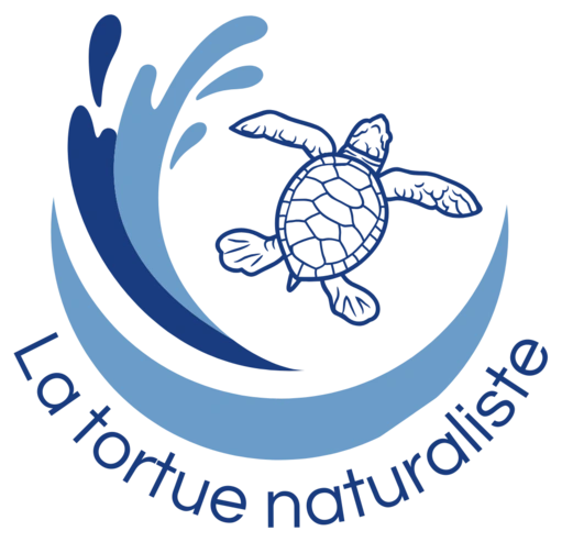 La tortue naturaliste