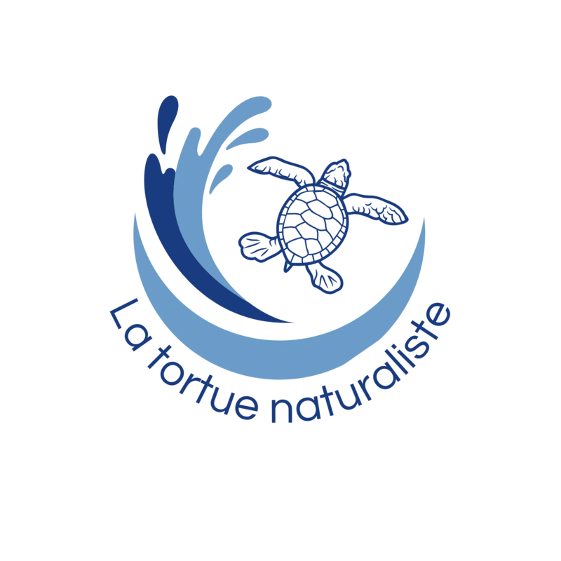 La tortue naturaliste